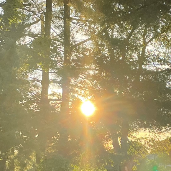 Meet your Posher, Isabelle - Picture 1 of 1